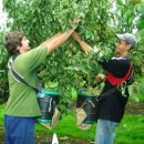 선호농장 이미지