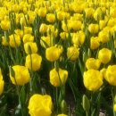 놀뫼푸드 이미지