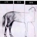 앤즈