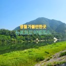 강원도 영월 가볼만한곳 뉴트로드 여행코스 시장 투어와 청록다방, 백월빨래터