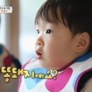 치폴레옹 - 동작구 흑석로 101-5 | 치폴레옹