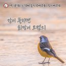제178회 정기연주회 이미지