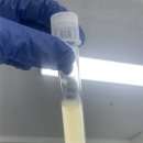 비긴13 | [비긴랩 바이오의약 취업캠프] 3주차 기록