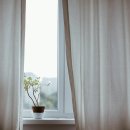 "추어탕, 전복 다 제쳤다.." 여름철 면역력 47배 치솟고 꿀잠 자게 도와주는 음식 이미지