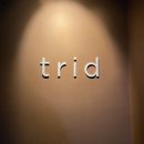 트리드 이미지