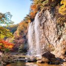 제 559차 전북 순창 100대 명산 강천산 단풍 산행 (10월 29일) 안내 이미지