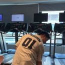 레디 바디 이미지