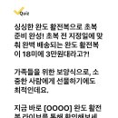 220712 캐시워크 - 완도 이미지