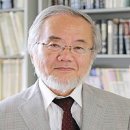 이오니아 네이버블로그