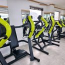 푸른휘트니스 이미지