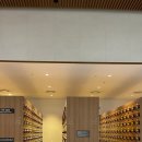 뽀바쥬 | 스타필드 하남 아쿠아필드(워터파크) 방문 후기