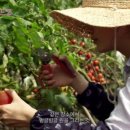 포레스트2 이미지