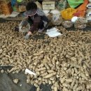 뚱딴지마을 이미지