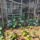 재원농장 이미지