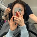 한일애견미용실 | 성수동 미용실 머리잘하는곳 샵위드 성수본점 모발클리닉 후기 애견동반가능