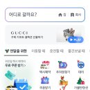 탑켄넬 | 강아지와 함께 카카오 택시(일반) 탑승 후기/꼭 펫택시를 이용해야할까?