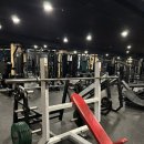 비비휘트니스 이미지