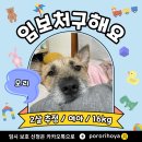 모리/2살추정/여아 이미지