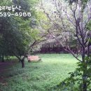 미도아파트_하 이미지