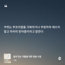 요모조모 그림책 놀이 | 어쩌면 너는 이렇게도