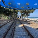 대관령 느린마을 | [강원도 액티비티/정동진 레일바이크]-내돈내산으로 혼자 강원도 정동진역 레일바이크를 타고 오다..!