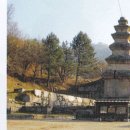 산약길 이미지