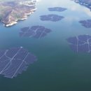 신성1호 태양광발전소 | "🌞낮엔 태양광, 밤엔 수력발전! 국내 1호 재생에너지 단지 등장