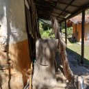 반구대팜스테이 이미지