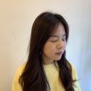 베르데헤어 네이버블로그