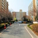 분당로263번길 이미지