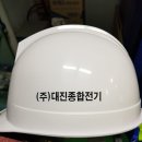 대진종합전기