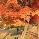 성산1공원 네이버블로그