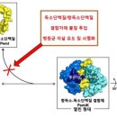 덕성슈퍼 이미지