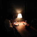 225토마토스트릿 이미지
