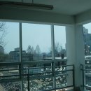 신정여상 이미지