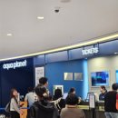백화장 | 수원 광교 아쿠아플라넷 방문 후기 (갤러리아 광교)