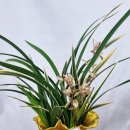 승진농장 이미지