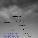 여수home 이미지