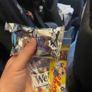 런던 근교 스톤헨지 코츠월드 옥스퍼드 투어 후기