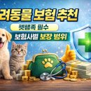 하이펫동물병원 | 반려동물 보험 추천 – 펫팸족 필수, 보험사별 보장 범위 완전 비교