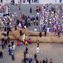 의령큰줄땡기기 이미지