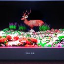 스마트폰과 모바일(강좌번호:5) 이미지