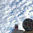 똥광호프 이미지