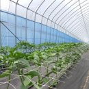 주식회사 산지 이미지