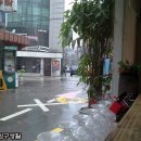 순희네집 빈대떡 이미지