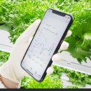 스마트팜 이미지