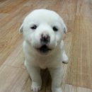 순덕농장 이미지