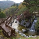 쉬자파크 이미지