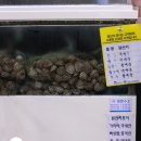 박승광 해물손칼국수 이미지