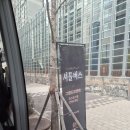 부산 &#34;그랜드모먼트 유스호스텔&#34; 결혼식 솔직 후기! 하객 입장에서 본 장단점